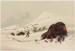  od George Catlin