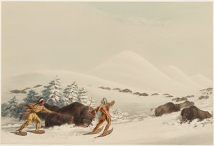 Lov bizonů na sněžnicích od George Catlin