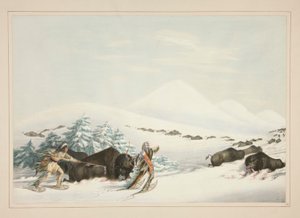 Buffalo Hunt, Na sněžnicích, pl. 15 z portfolia severoamerických indiánů od George Catlin