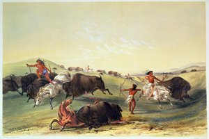 Buffalo Hunt, deska 7 z Catlin