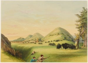 Lov bizonů, přibližování v rokli od George Catlin