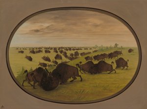 Býčí zápasy, 18611869. od George Catlin