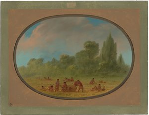 Indiáni Caddo sbírají lesní jahody od George Catlin