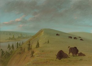 Cedar Bluffs, 18611869. od George Catlin