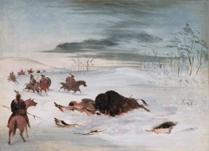 Umírající bizoní býk v závěji od George Catlin
