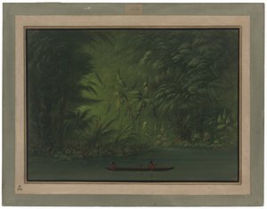 Vstup do laguny na pobřeží Amazonky od George Catlin
