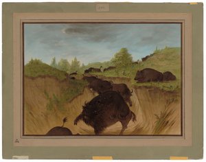 Medvědi grizzly útočí na Buffalo od George Catlin