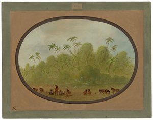 Zastávka k vytvoření skici od George Catlin