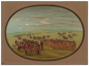 Dostihy - Minatarrees od George Catlin