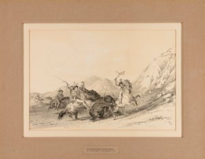 Indiáni útočí na medvědy grizzly - č. 19 od George Catlin