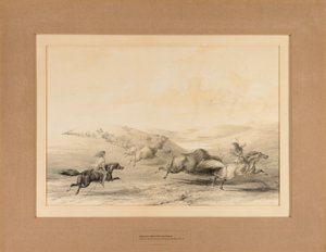Indiáni loví bizony - č. 29 od George Catlin