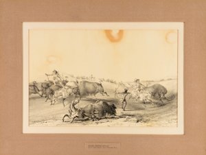 Indiáni loví bizony - č. 7 od George Catlin