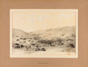 Indiáni v okolí Buffala - č. 9 od George Catlin