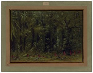 Interiér amazonského pralesa - Zurumati od George Catlin