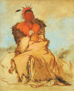 Loo-rá-wée-re-coo, Pták, který jde do války, Tapage Pawnee od George Catlin