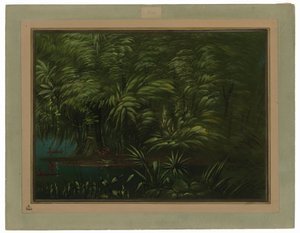 Přepychový les na břehu Amazonky od George Catlin