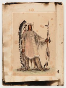 Mah-to-toh-pa, náčelník Mandanů od George Catlin