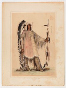 Mah-to-toh-pa, náčelník Mandanů od George Catlin