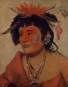 Pah-shee-náu-shaw, bojovník od George Catlin