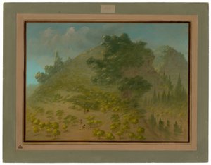 Hora Rododendron od George Catlin