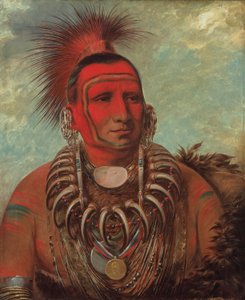 Shon-ta-yi-ga, Malý vlk, slavný válečník od George Catlin