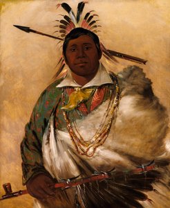 Téh-ke-néh-kee, Black Coat, náčelník od George Catlin