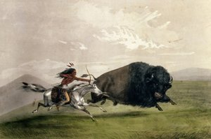 The Buffalo Chase "Singling Out", hospoda. od Curriera a Ivese od George Catlin