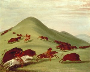 Buffalo Hunt