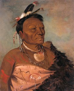 Wee-tá-ra-shá-ro, náčelník kmene od George Catlin