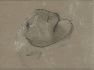 Lví hlava, pravděpodobně po soše od George Clausen