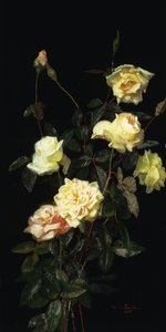 Růže, 1878