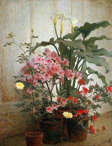 Side of a Greenhouse, 1870-80.