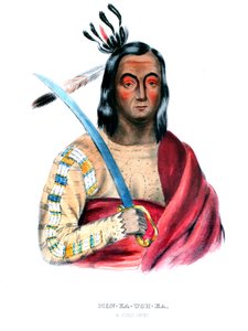 Moukaushka („Chvějící se Země“), náčelník Yanktonských Siouxů
