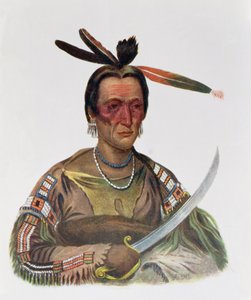 To-Ka-Cou, náčelník Yankton Sioux, 1837, ilustrace z 
