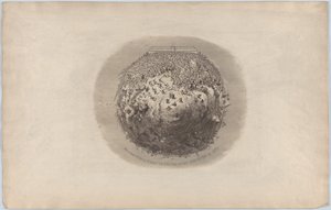 Celý svět uvidí Velkou výstavu z roku 1851 od George Cruikshank