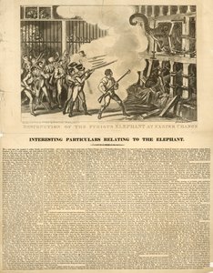 Zničení zuřivého slona v Exeter Change od George Cruikshank