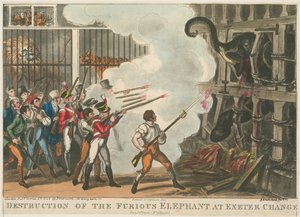 Zničení zuřivého slona v Exeter Change, 1826 od George Cruikshank