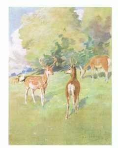 "Dobré ráno, příteli" (barva litho)