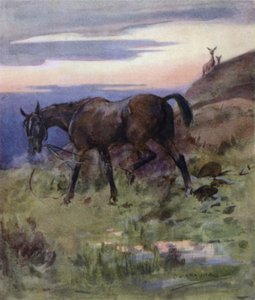Ilustrace k Příběhu jelena (barva lito) od George Denholm Armour