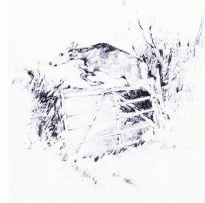 Jako šíp z luku (litho) od George Denholm Armour