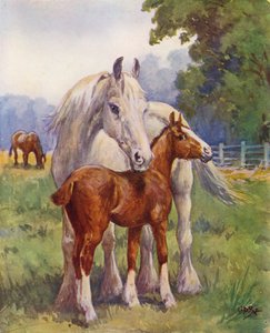 Hrdá matka (barevná litografie)