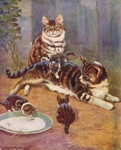 Nell byla krásná tabby (barevná litografie)