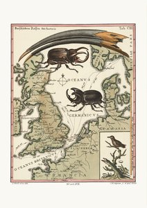 Účet ibise egyptského a kolibříka nejmenšího, 1749-73 od George Edwards