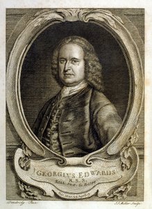  od George Edwards