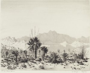 Mirage, Arizona od George Elbert Burr