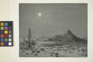 Arizona Night od George Elbert Burr