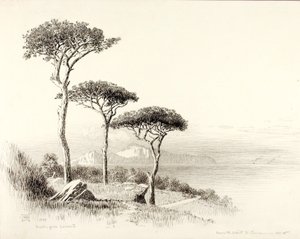 Capri ze Sorrenta od George Elbert Burr
