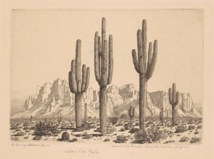 Desert Sentinels, Apache Trail, Arizona od George Elbert Burr