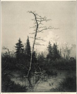 Večerní od George Elbert Burr