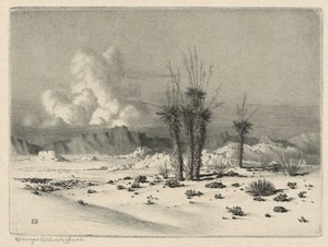 Večer, Arizona od George Elbert Burr